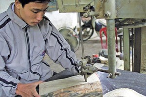 Người kinh doanh cần được quyền cân nhắc hoạt động theo hình thức hộ kinh doanh hay thành lập doanh nghiệp.