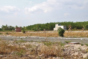 Nhiều dự án tại Bà Rịa – Vũng Tàu để cỏ mọc um tùm 