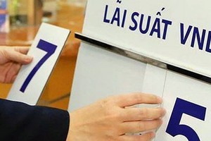 Hành vi chuyển giá thông qua công cụ lãi vay hiện rất phổ biến với doanh nghiệp FDI và với một số doanh nghiệp trong nước. 