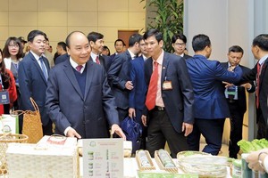 Trong quý I/2020, các bộ, cơ quan ngang bộ phải hoàn thành việc công khai bảng so sánh các điều kiện kinh doanh trước và sau khi bãi bỏ, đơn giản hoá...