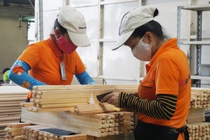 Năm 2020, Tổng cục Lâm nghiệp đặt mục giá trị xuất khẩu lâm sản đạt từ 12,5 tỷ USD.