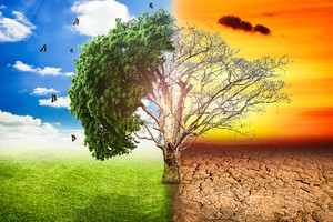 Tổng quan phong thủy năm Canh Tý 2020