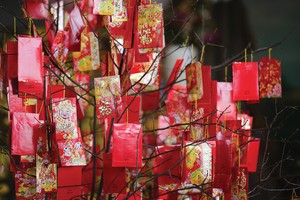 Nhìn nhận về lá số Tử vi