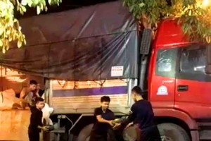 “Nàng” Hắc Mỹ Nhân về tới Cẩm Phả trong đêm đã được nhân viên nhà hàng vận chuyển tới các điểm bán lẻ.