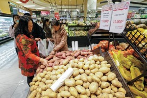 Giờ không phải là lúc bàn xem dịch nCoV có ảnh hưởng tới kinh tế hay không, bởi điều này là chắc chắn, mà quan trọng là đưa ra kịch bản ứng phó. Ảnh: Đức Thanh