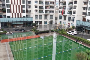 Thời điểm hiện tại, nên hạn chế hoặc dừng hẳn việc sử dụng bể bơi