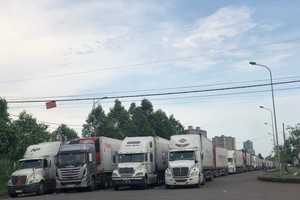 Những ngày qua, lượng xe nông sản của các chủ hàng, doanh nghiệp vẫn kéo lên cửa khẩu, bất chấp khuyến cáo từ cơ quan quản lý