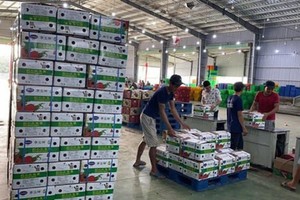 Bộ Công Thương đề nghị các địa phương hạn chế đưa hàng hóa lên biên giới, trừ trường hợp đưa lên để xuất khẩu theo hình thức chính ngạch và đối tác phía Trung Quốc có khả năng nhận hàng.