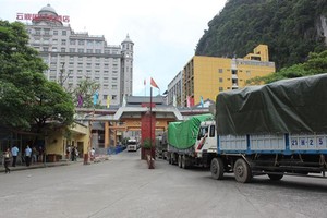 Tốc độ thông quan hàng hóa xuất nhập khẩu qua cửa khẩu Tân Thanh trong ngày 20/2 còn khá chậm, với 11 xe nông sản được làm thủ tục xuất khẩu.