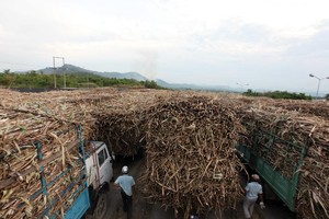 Các nhà máy đường nếu không nghĩ đến đa dạng hóa sản phẩm thì khó có thể hạ giá thành đường và khó cạnh tranh được với ngành đường thế giới.