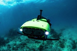 Sử dụng robot để bảo vệ san hô