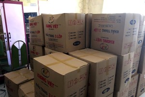Một lô hàng khẩu trang vi phạm bị cơ quan chức năng TP.HCM tạm giữ