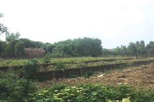 Việc mua bán đất xen kẹt không giấy tờ vẫn diễn ra phổ biến 