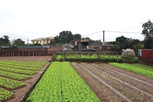 Nhiều trường hợp sai phạm cũ rất khó xử lý 