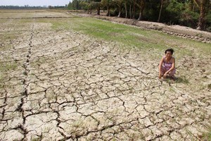  Đồng bằng sông Cửu Long mùa đỏ trời, trắng đất - Kỳ 1: Quay cuồng trong… khát