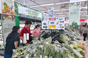 Các siêu thị trên địa bàn Tp.HCM đang chuẩn bị nguồn hàng hoá dồi dào cũng như đẩy mạnh giao hàng tại nhà.