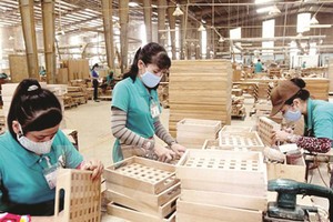 Với quyết điịnh phê chuẩn của Hội đồng châu Âu, EVFTA hiện chỉ còn chờ Quốc hội Việt Nam phê chuẩn sẽ chính thức có hiệu lực, tạo điều kiện để hàng hóa Việt Nam thâm nhập thị trường có quy mô GDP lên tới 18.000 tỷ USD.