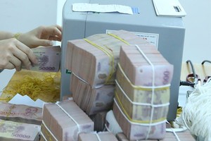 Theo bản khuyến nghị, chính sách giải cứu không chỉ  tập trung vào khả năng thanh khoản mà còn là khả năng thanh toán (tồn tại hay phá sản) của các doanh nghiệp. Ngân hàng Nhà nước cần sẵn sàng bơm thêm thanh khoản cho hệ thống ngân hàng. Lãi suất có thể cắt giảm thêm 1 – 2 điểm phần trăm.