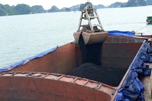 Việt Phát (VPG) phiêu lưu phát hành trong mùa dịch