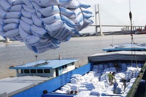 Thủ tướng Chính phủ đã đồng ý với phương án xuất khẩu gạo của Bộ Công Thương, vói sản lượng 400.000 tấn trong tháng 4.