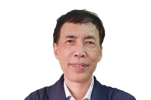 Chuyên gia kinh tế Võ Trí Thành.