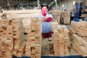 Cục Phòng vệ thương mại cho biết, hiện có 12 mặt hàng xuất khẩu có thể có nguy cơ bị điều tra tại các thị trường Hoa Kỳ, EU.