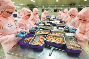 Đặc điểm của các doanh nghiệp ngành thực phẩm là hàng tồn kho có tính “nhạy cảm” khá cao, bởi đây là các mặt hàng nhanh xuống cấp nếu phải lưu kho lâu ngày. Ảnh: Đức Thanh