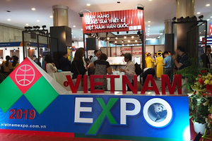 Vinexad (VNX) tính trả cổ tức khủng 70%, lên kịch bản cả năm 2020 thua lỗ