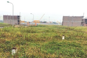 Vụ “người chết vẫn ký vào hồ sơ chuyển nhượng cổ phần” tại TST: Hủy giấy đăng ký kinh doanh