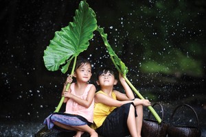 Dịch bệnh như cơn mưa dữ, ai đi ngoài đường cũng ướt