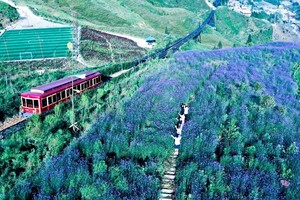 Tàu hỏa leo núi Mường Hoa do Tập đoàn Sun Group đầu tư.