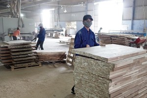 Nhiều doanh nghiệp gỗ đang kỳ vọng đẩy mạnh xuất khẩu sang thị trường EU. Ảnh: Đức Thanh