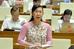 Ở cả hai kỳ họp thứ 8 và thứ 9 của Quốc hội, đại biểu Phan Thị Mỹ Dung (Long An) đều khẳng định quan điểm cần cấm đầu tư kinh doanh dịch vụ đòi nợ.