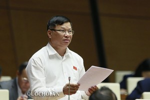 Đại biểu Trần Văn Tiến ủng hộ ban hành luật riêng cho hộ kinh doanh.