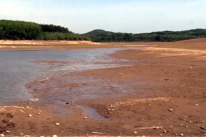 Trung Bộ và Tây Nguyên “khát” nước: Khoảng 44,3 nghìn ha sẽ bỏ trống vụ Hè - Thu 2020