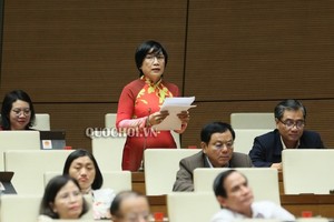 Đại biểu Quốc hội Mai Thị Ánh Tuyết: "Đồng ý tăng vốn cho Agribank nhưng nên tìm nguồn khác vì cân đối ngân sách nhà nước năm nay hết sức căng thẳng"