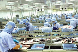 Hàng hóa xuất khẩu của Việt Nam có cơ hội trở lại… bình thường. Trong ảnh: Nhà máy chế biến thủy sản Caseamex tại Cần Thơ.