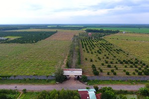 Nông trang Organic của Vinamit tại Phú Giáo, Bình Dương (ảnh doanh nông)