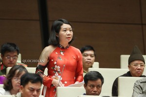 Đại biểu Phương Hoa (Nam Định) cho rằng, cần có hình thức xúc tiến đầu tư phù hợp với các tập đoàn hàng đầu thế giới.