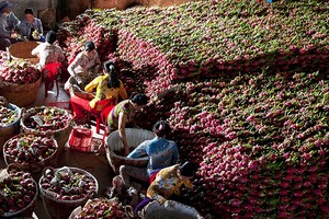 Thương mại 2 chiều Việt Nam-Trùng Khánh (Trung Quốc) 4 tháng 2020 đạt hơn 2 tỷ USD, 106,2% so với cùng kỳ năm trước.