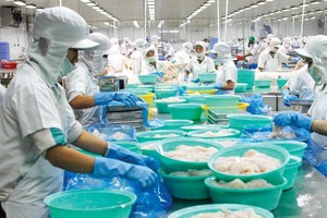 Với EVFTA, thuế nhập khẩu giảm làm tăng thêm khả năng cạnh tranh của thủy sản Việt Nam. Ảnh: Đức Thanh