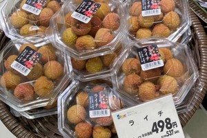 Dự kiến khoảng gần 200 tấn vải thiều tươi sẽ xuất khẩu thành công vào thị trường Nhật trong năm nay.