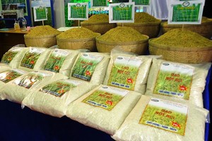 Để hưởng thuế 0%, các lô hàng gạo thơm thuộc diện TRQ khi xuất khẩu vào EU phải có giấy chứng nhận đúng chủng loại được cấp bởi Bộ NN&PTNT.