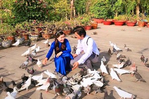 Hàng trăm chú chim bồ câu thân thiện vây quanh du khách.