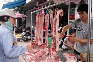 Cục Xuất nhập khẩu (Bộ Công thương), dự báo giá thịt lợn hơi sẽ tiếp tục giảm trong những tuần sắp tới khi nhập khẩu lợn sống từ Thái Lan về Việt Nam tăng.