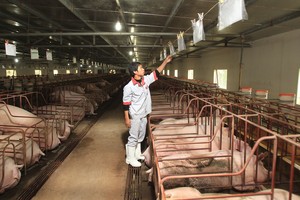 Doanh nghiệp nông nghiệp lãi tốt 6 tháng