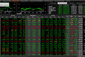 Cổ phiếu nào sắp vào rổ VN30?