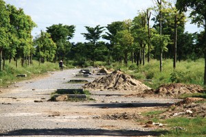 Ảnh: Thành Nguyễn