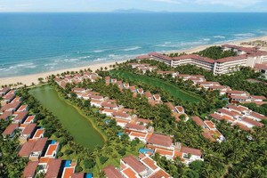 Nhiều “sếu đầu đàn” đã chọn miền Trung để làm tổ và đang từng ngày lớn mạnh. Ảnh: Dự án Vinpearl Nha Trang
