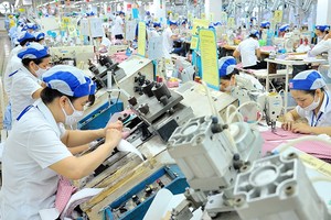 Xu hướng chuyển đổi từ kinh doanh truyền thống sang các nền tảng số ngày càng phổ biến, giúp DN thâm nhập và mở rộng thị trường xuất khẩu.